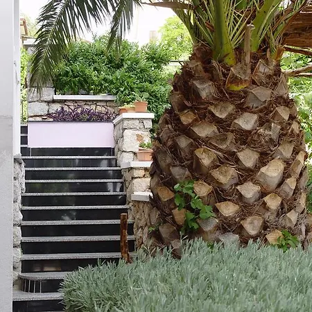 Apartments Jovic Mali Losinj Exterior photo