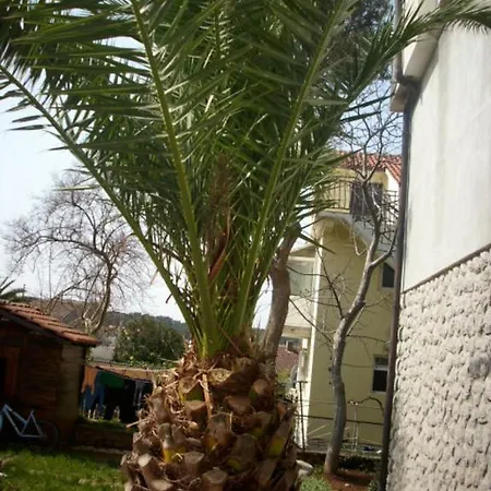 Apartments Jovic Mali Losinj Exterior photo