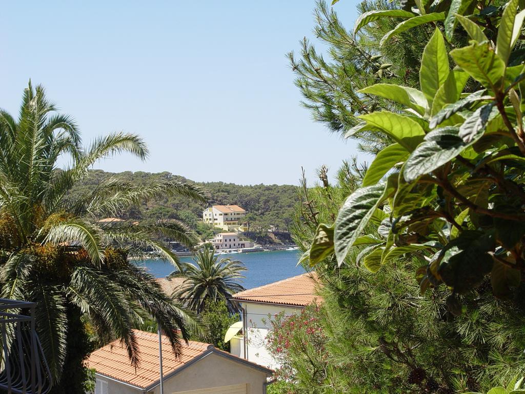 Apartment Jovic