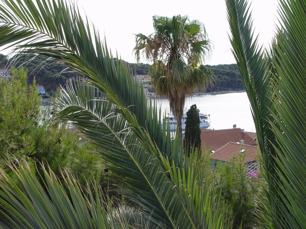 Jovic * Mali Losinj
